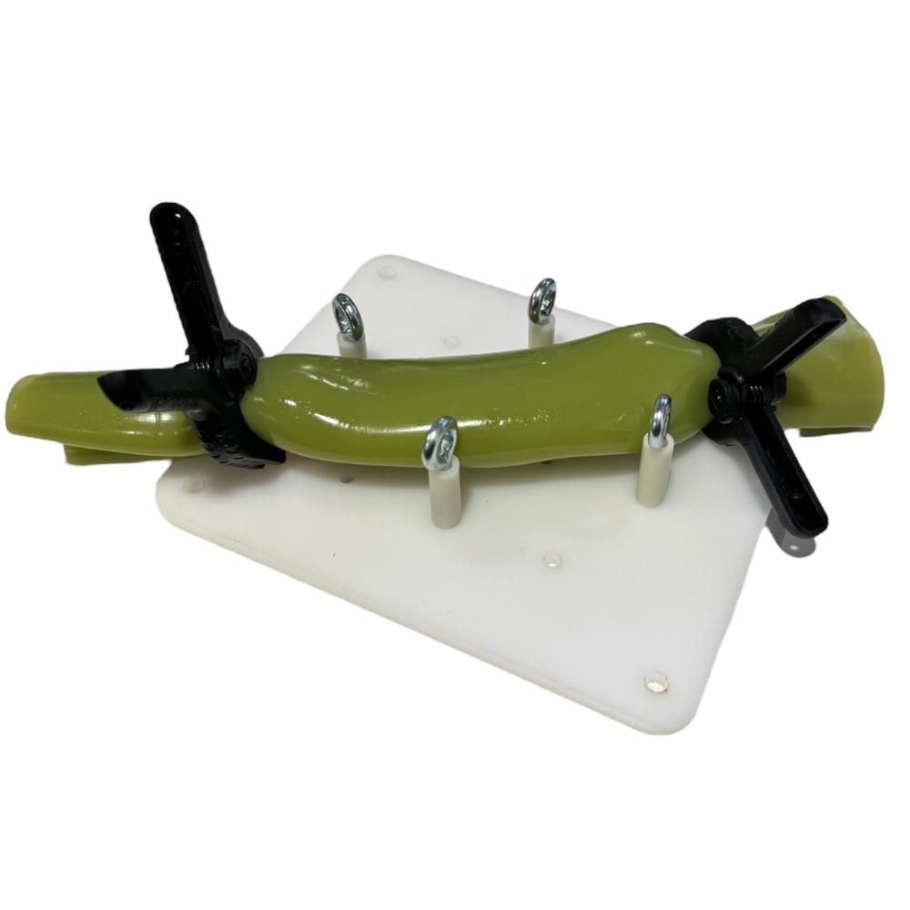 Modelo de Practica de Sutura Intestinal