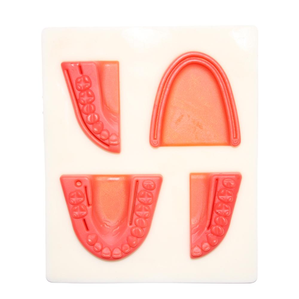 PESD1611 Piel de sutura para entrenamiento Dental