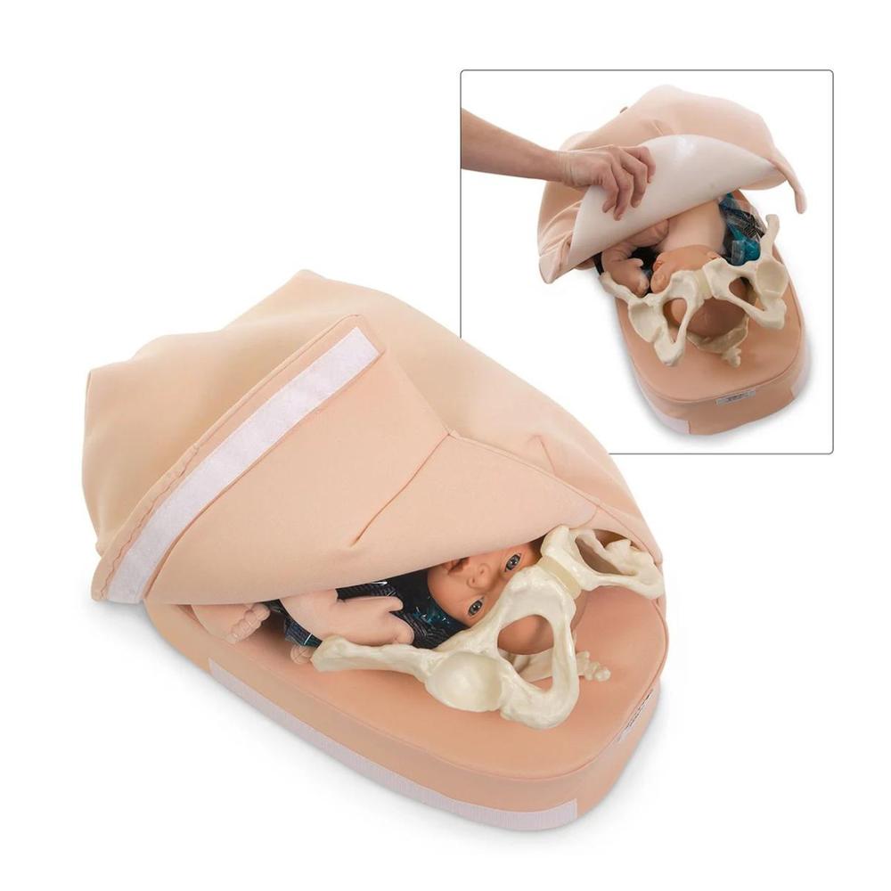 Modelo de Palpación Abdominal - Life/Form®