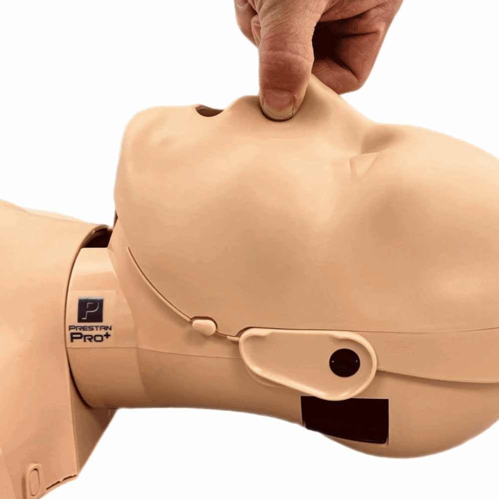 Maniquí de RCP Prestan PRO+ Torso Adulto con Monitor - Pack de 4